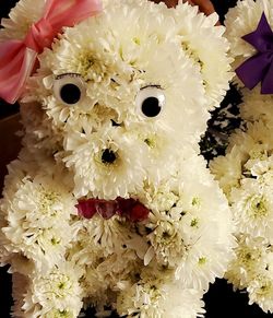 Valentine's Flowers 💐