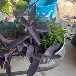 Beautiful Arrangement 