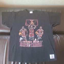 Vintage 1990's Chicago Bulls T-Shirt From Nutmeg. Size XL