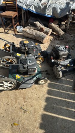 Lawn Mowers