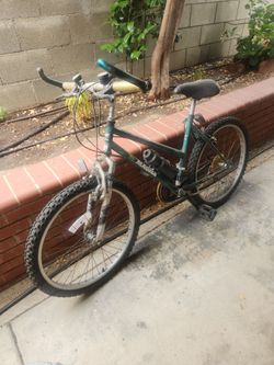 Magna Bike