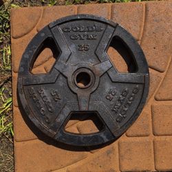 Golds Gym 25 Pound Plates