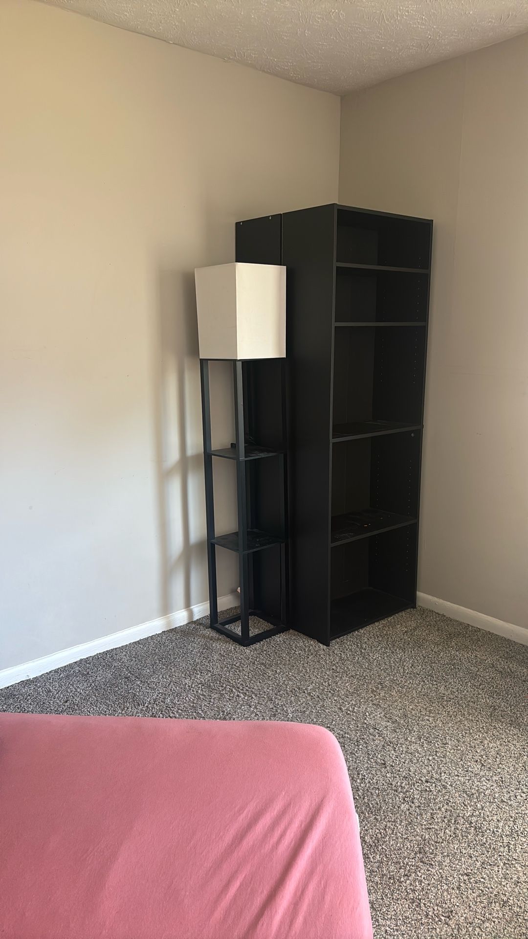 2 Black Bookshelves Matching Black standing Lamp