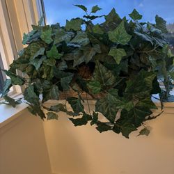 Faux Plant