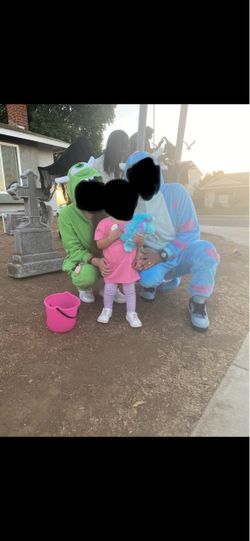 Mike wazowski and sully halloween costumes
