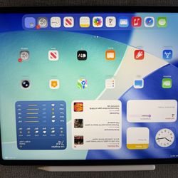 iPad Pro 12.9 6th Generation WiFi With Cellular 256GB