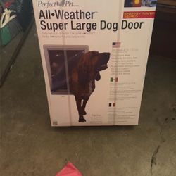 Dog Door