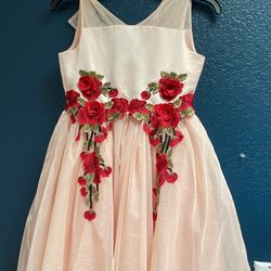 Girls M10-12 Size Nanette Lenore Pink Dress