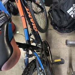 Giant Kids Mountain Bike (open To Trades )