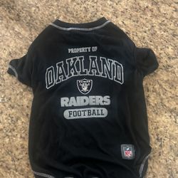 Raiders