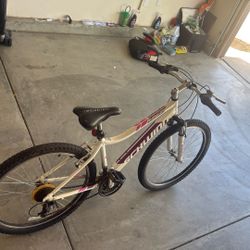 Bicycle Schinn