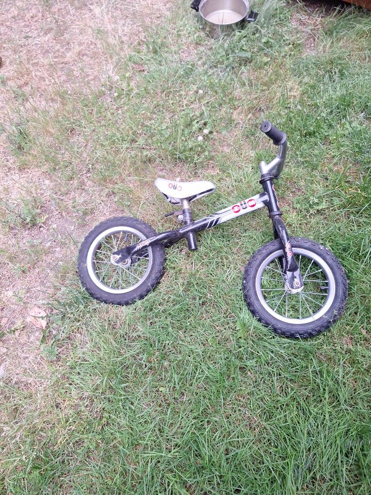 Zoom 12 Inch Push Bike