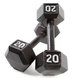 2 20lb Dumbbells 