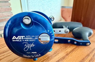 Avet MXL 6/4 MC Raptor fishing reel