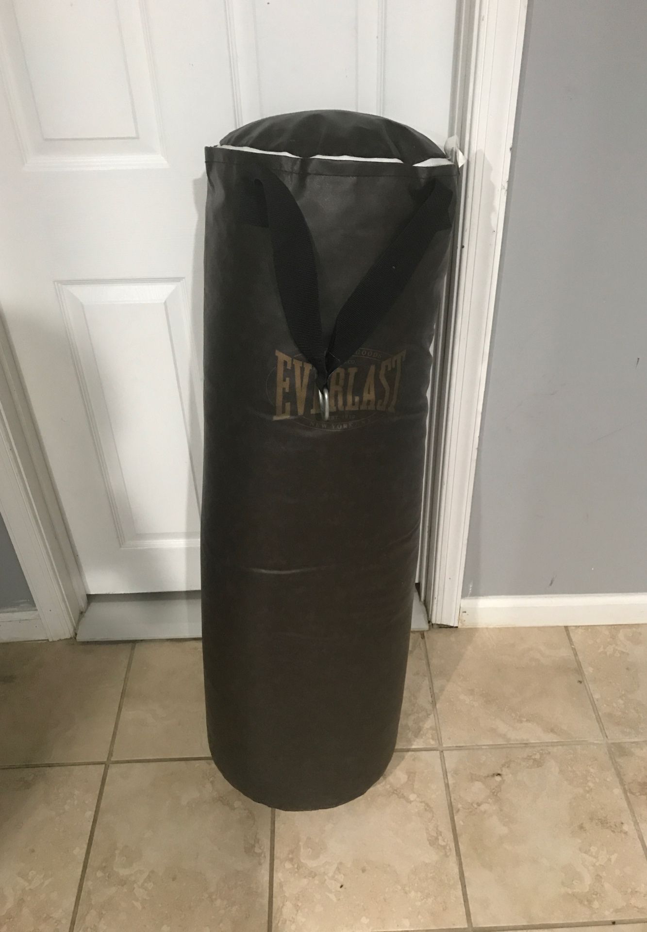 EverLast Boxing Bag with 1 pair of gloves