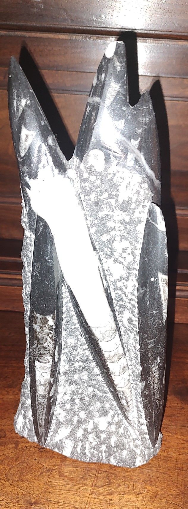 Fossil Orthoceras tower