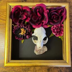 Framed Skull Art