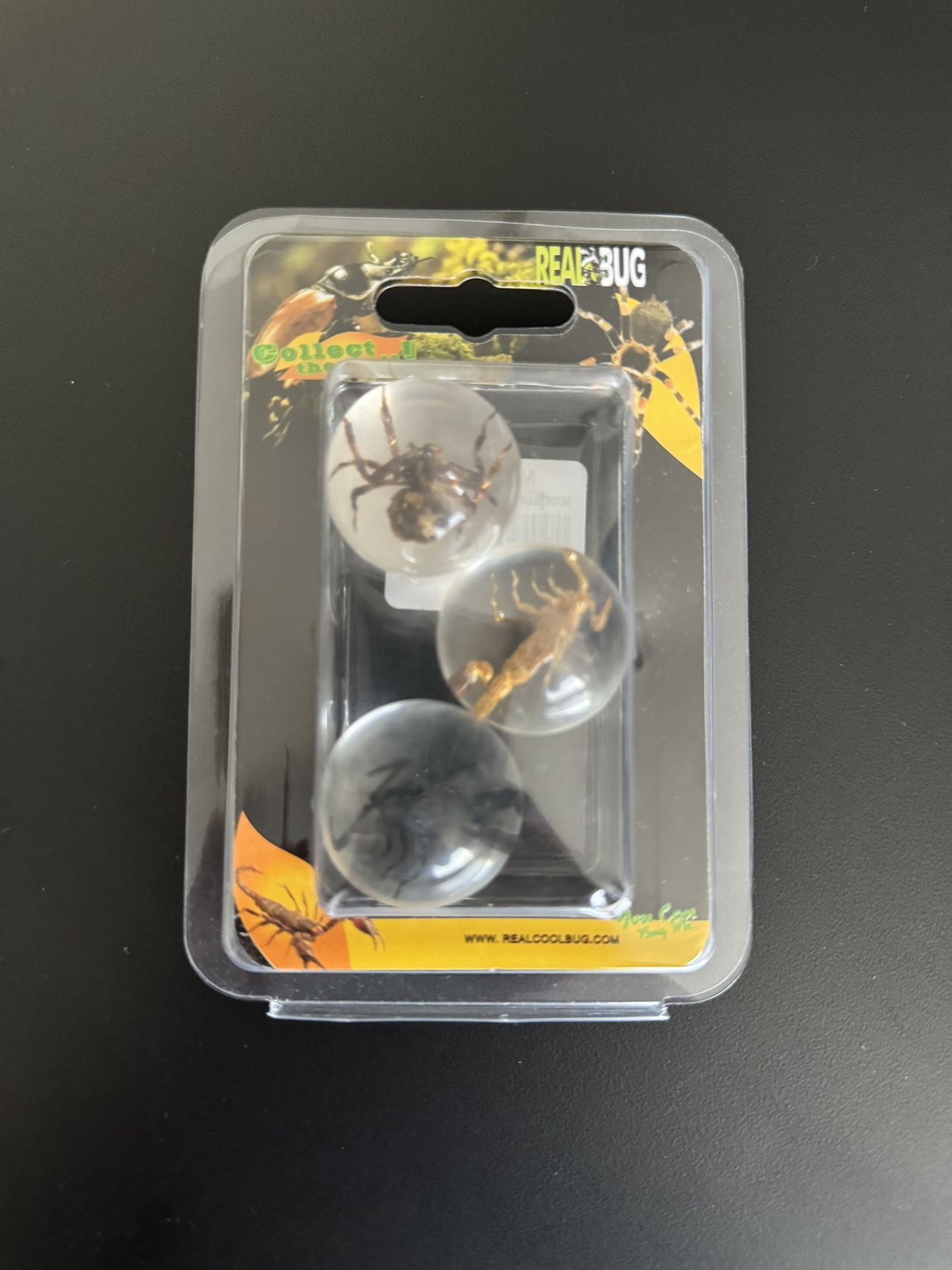 Real Bug Marbles Spider, Scorpion