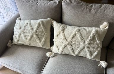 Two Decorative Pillows