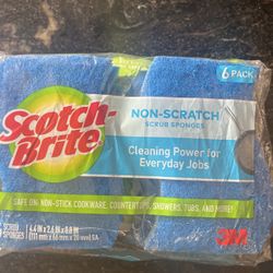 Scotch-Brite Sponge 6 Pack
