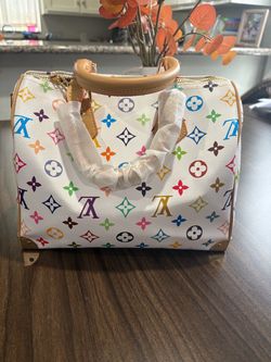 LV Multicolor Speedy Handbag