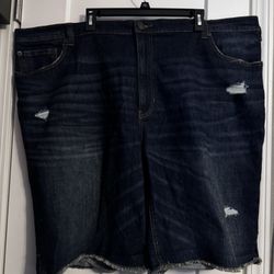 Men’s Big & Tall Shorts 