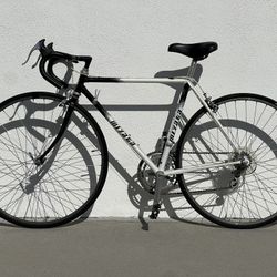50cm miyata 900 with shimano 600 group set - $300 FIRM