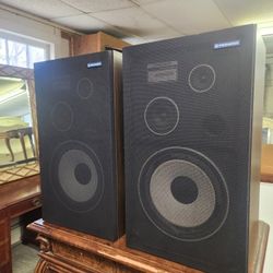 Vintage Pioneer Speakers 