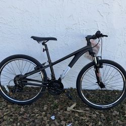Batch 24 Inch Youth Mountain Bicycle 