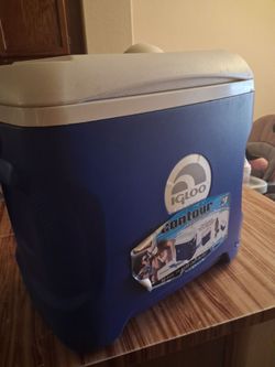 Vendo hielera