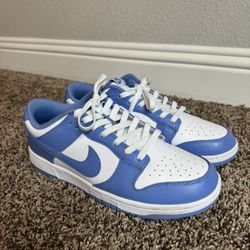 Nike Dunks Polar Blue