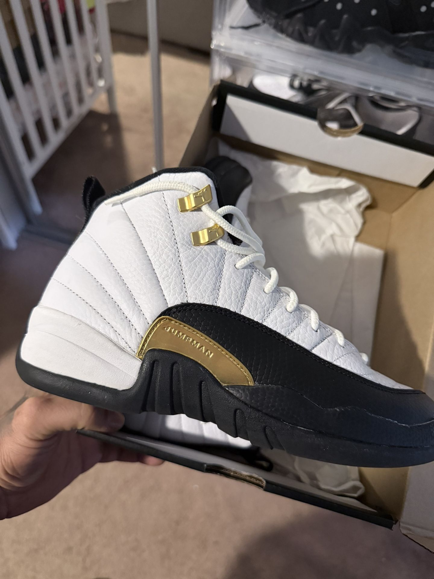 Jordan 12 Taxis