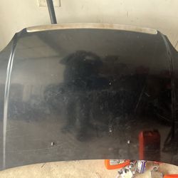 2004 honda civic dx hood and headlights