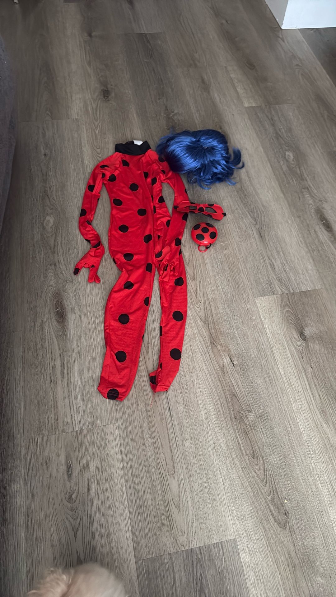 Miraculous Costume