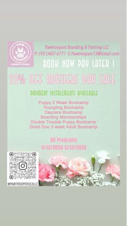 Dog Training sale
