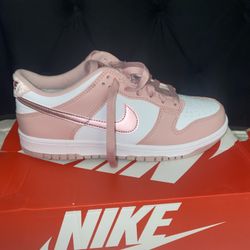 Nike Dunks Never Worn 