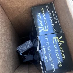 Vivarium Electronics Lights