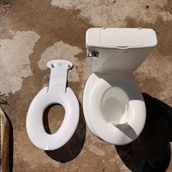 Potty Seats