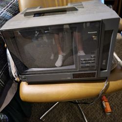 Panasonic AG-500 Portible Monitor 