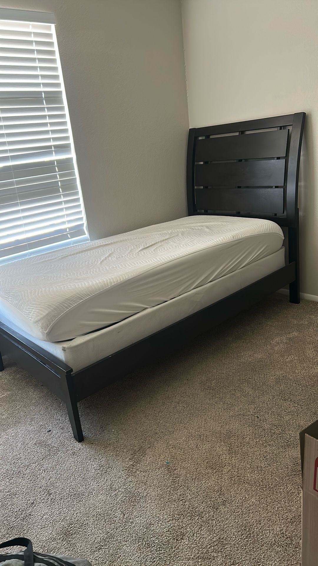 Twin Bed, Box Spring, and Bed Frame