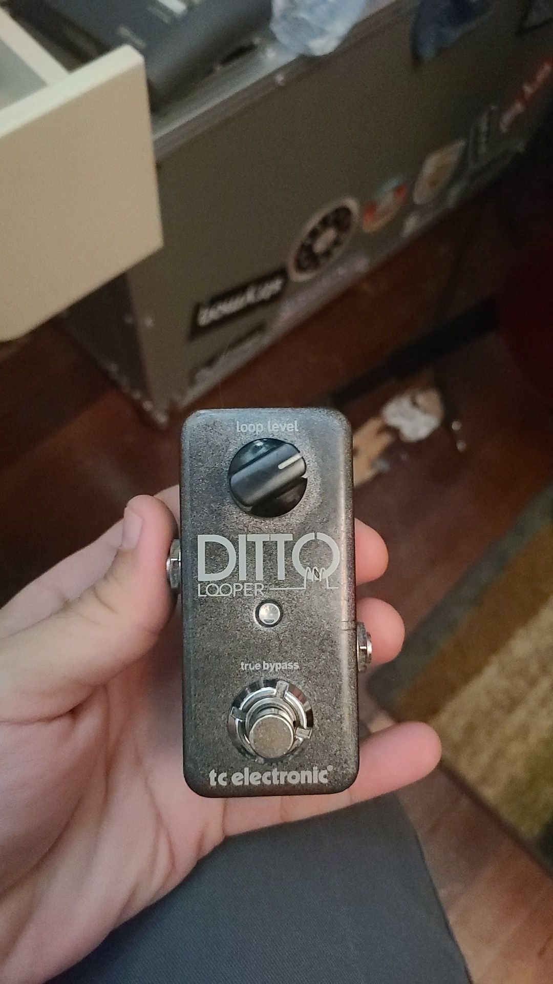 Ditto looper