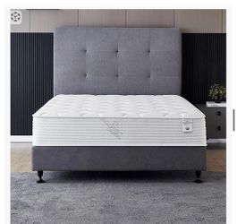 Full Size Bed & Box Frame