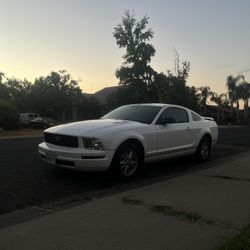 2006 Ford Mustang