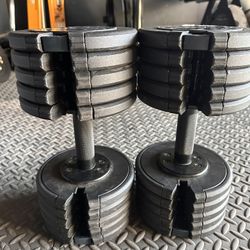 ProForm Rapid Strike 50 Lb. Adjustable Dumbbell Set