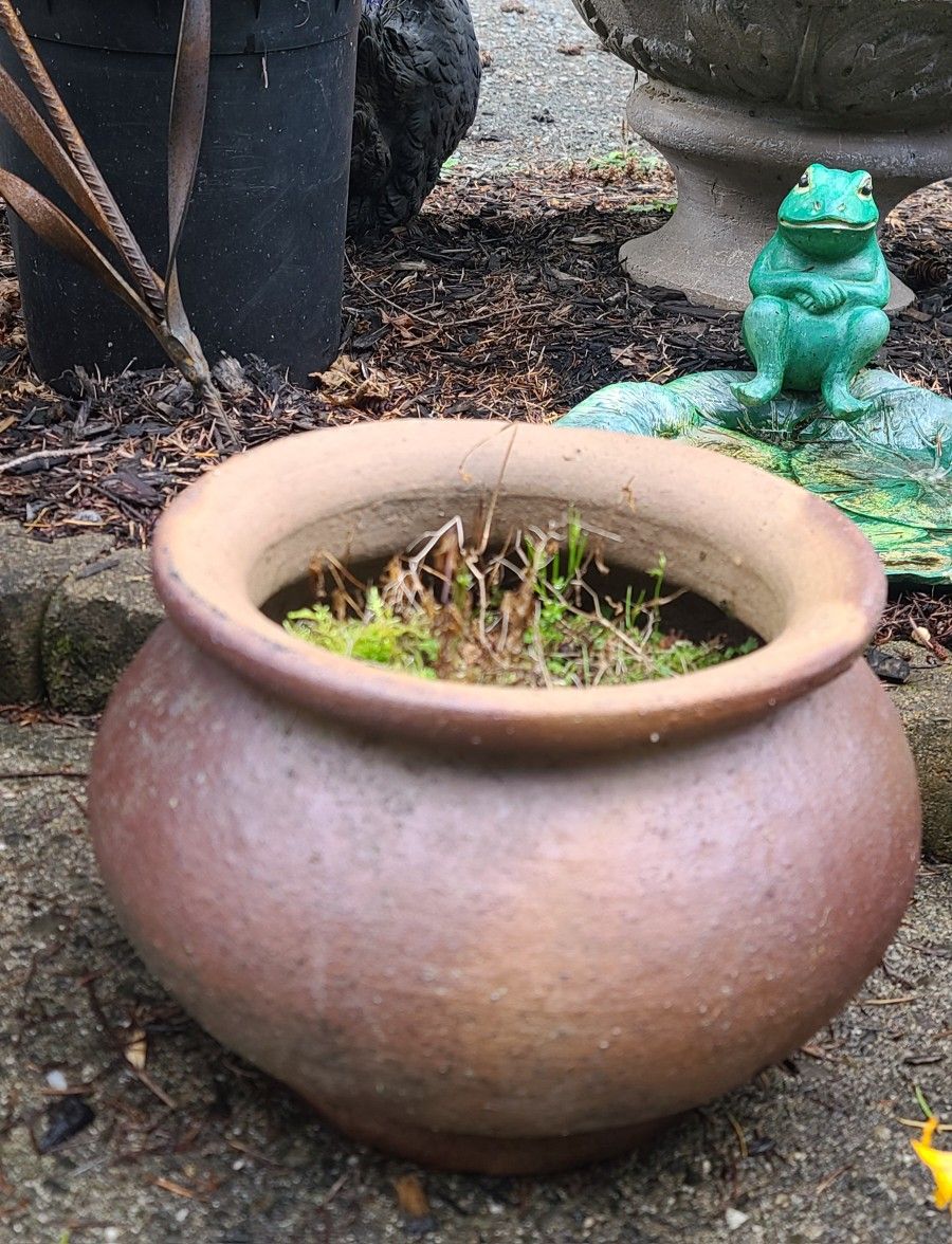 Nice Brown Terra Cotta Flower Pot