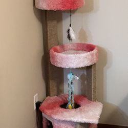 Cat House