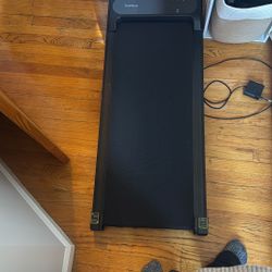 Walking Pad / treadmill 