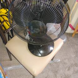 16" 20" H. Oscillating Fan 3 Speed Pickup Only Cash 