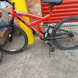 Gauntlet 24' Inch Bike 