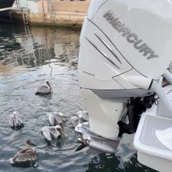 Triple 2019 Mercury Verado 350 L6 For Sale 